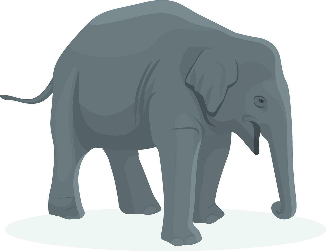 elefante bambino illustrazione, animali, elefante a il zoo vettore