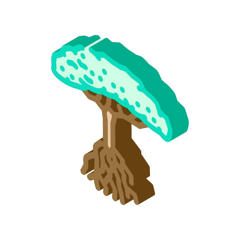mangrovia albero isometrico icona vettore illustrazione