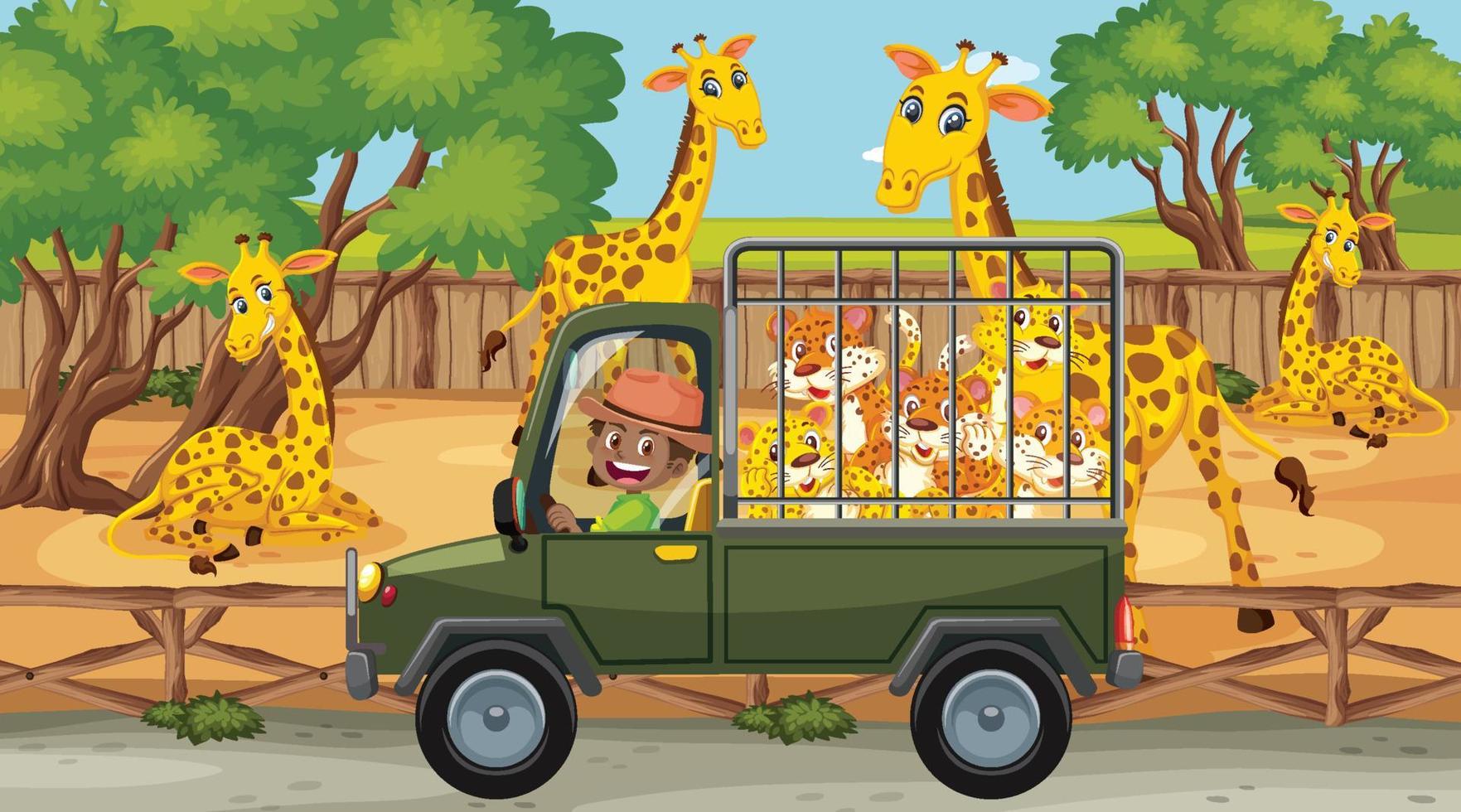scena di safari con molte giraffe e leopardi in un'auto a gabbia vettore