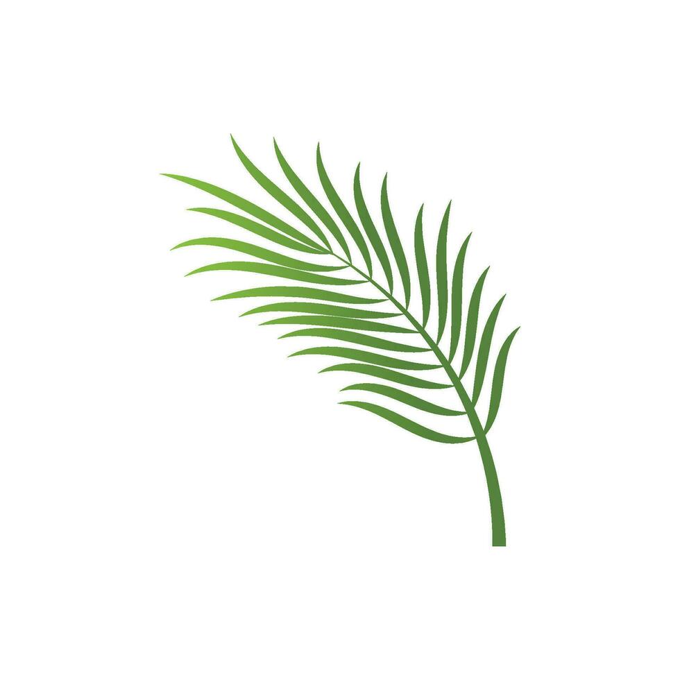 foglia palma logo vettore modello simbolo e design