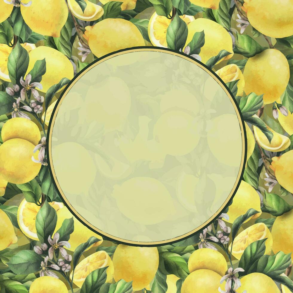 limoni siamo giallo, succoso, maturo con verde foglie, fiore mini cuffie su il rami, totale e fette. acquerello, mano disegnato botanico illustrazione. telaio, ghirlanda, modello su un' bianca sfondo. vettore