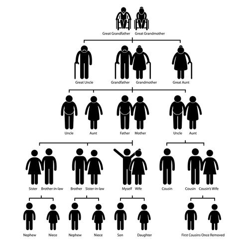 Icona del pittogramma figura stilizzata diagramma genealogico genealogia. vettore