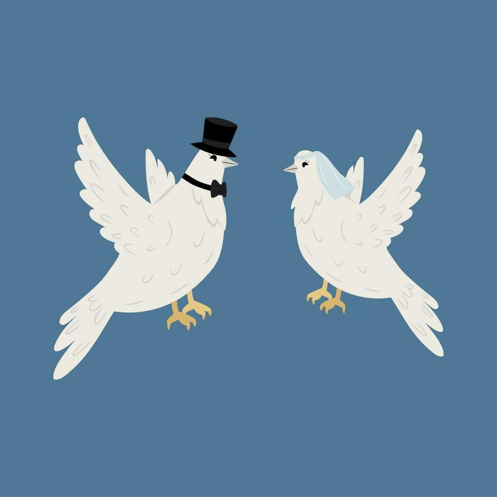 Due bianca colombe nel cappello e velo su blu sfondo vettore