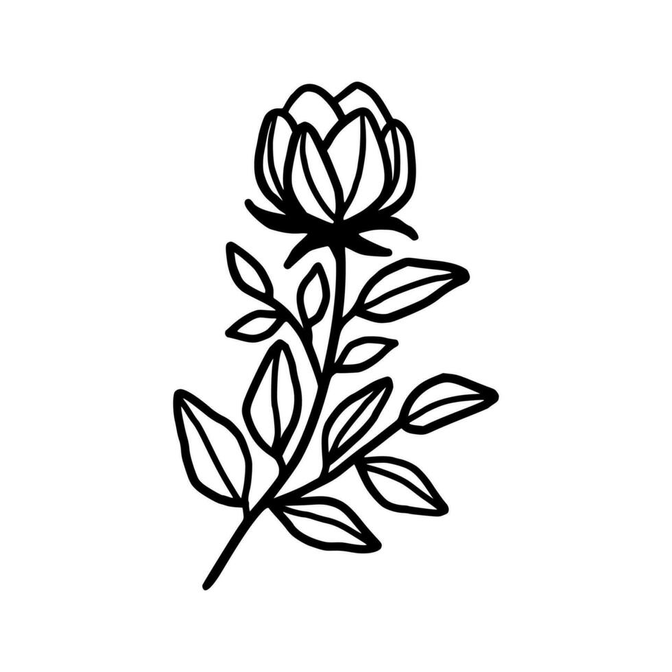 Vintage ▾ mano disegnato peonia fiore linea arte vettore elemento