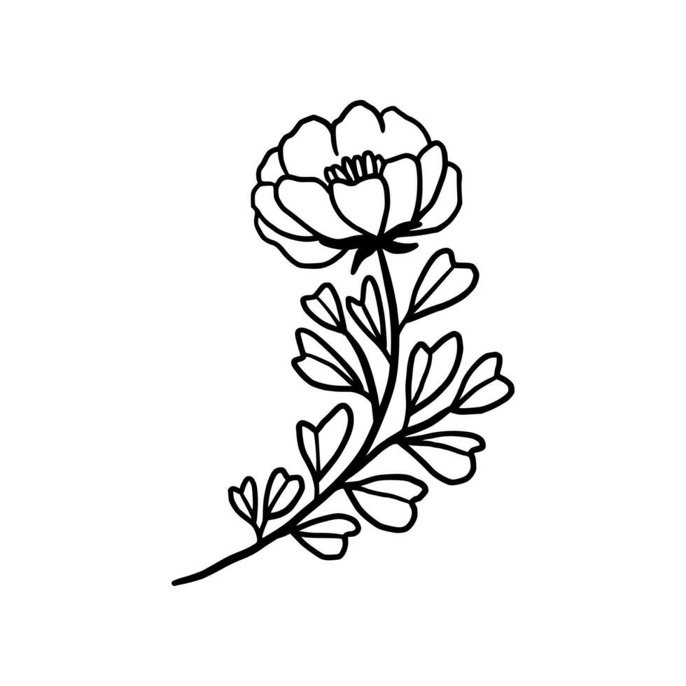 Vintage ▾ mano disegnato peonia fiore linea arte vettore elemento