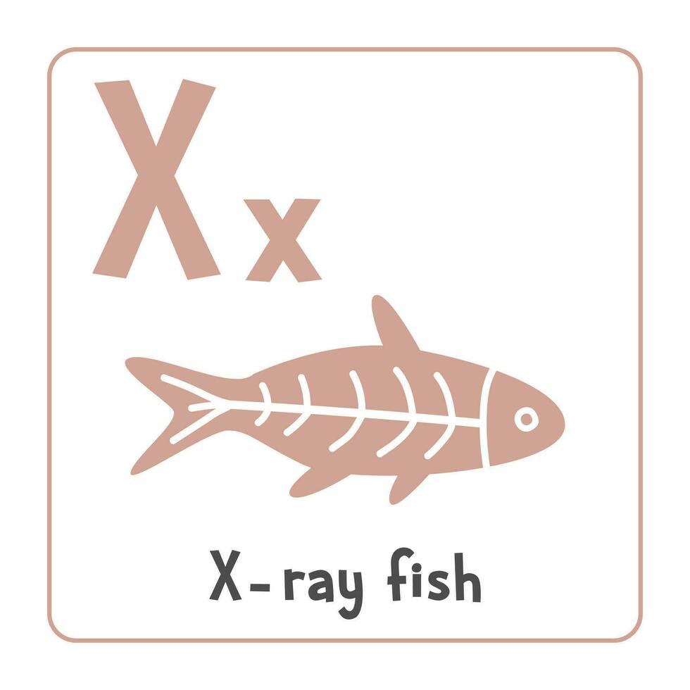 raggi X pesce clipart. X raggio pesce vettore illustrazione cartone animato piatto stile. animali inizio con lettera X. animale alfabeto carta. apprendimento lettera X carta. bambini formazione scolastica. carino X raggio pesce vettore design