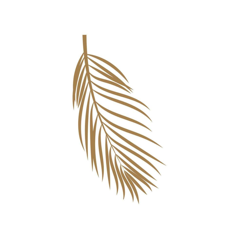 foglia palma logo vettore modello simbolo e design