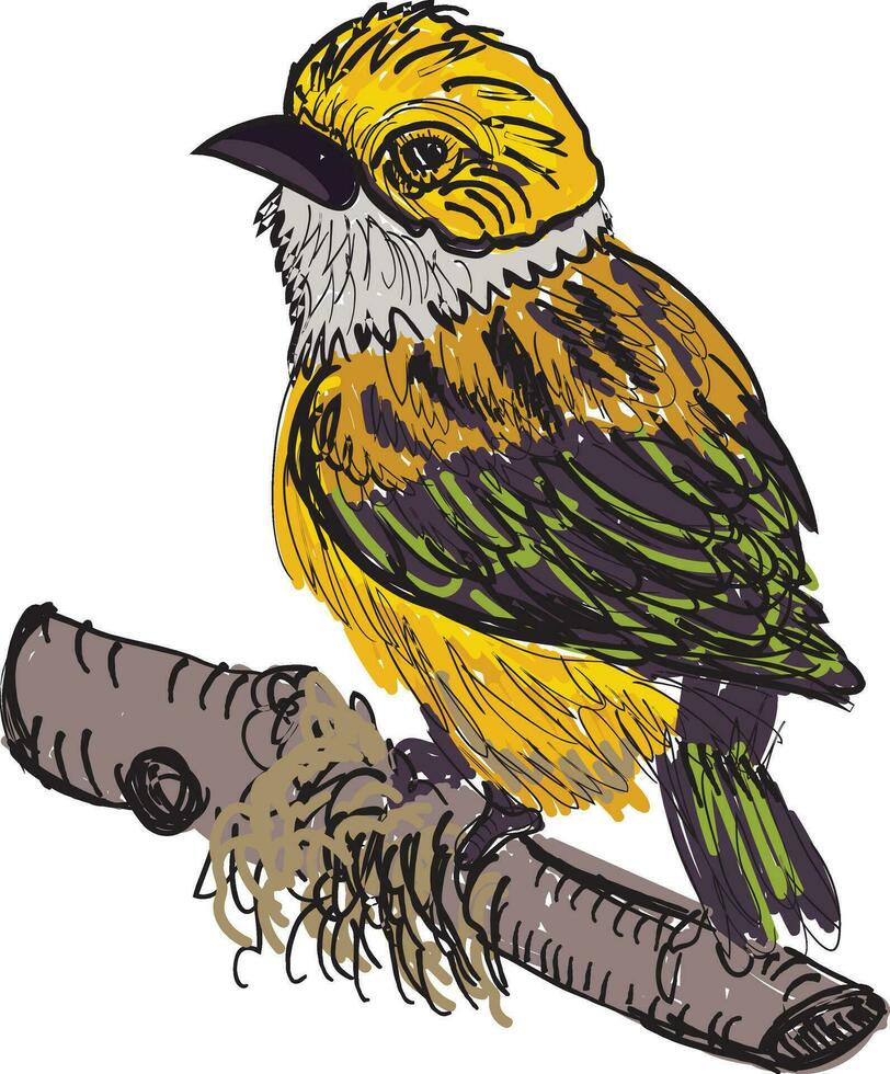 uccello mano disegnato vettore illustrazione