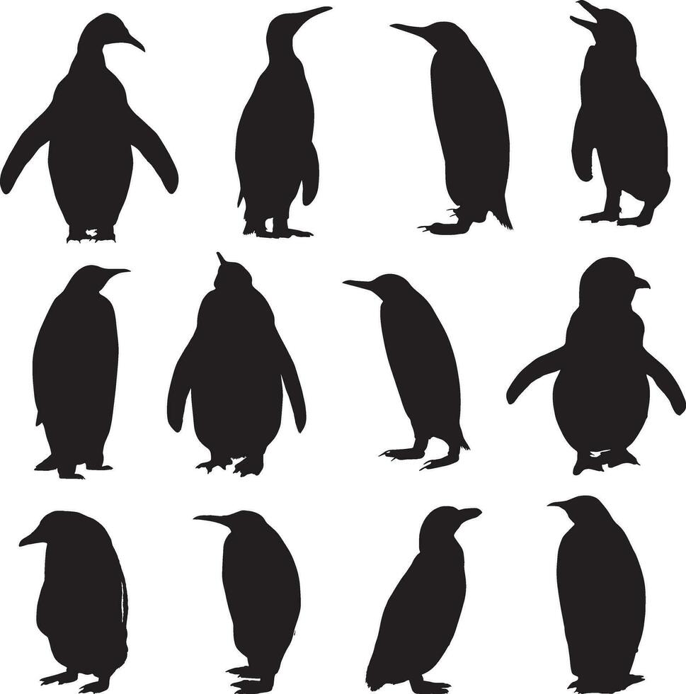 un' gruppo di pinguini silhouette vettore impostare.