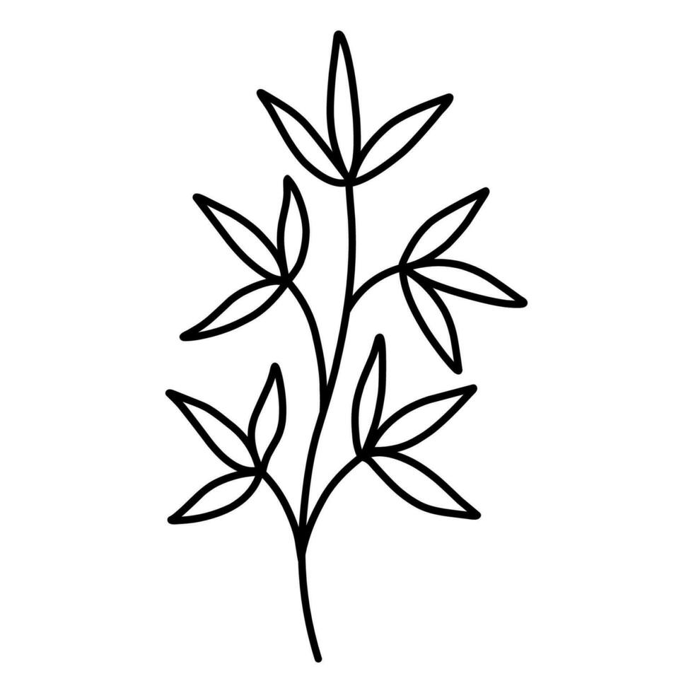 carino ramo con le foglie isolato su bianca sfondo. vettore disegnato a mano illustrazione nel scarabocchio stile. Perfetto per carte, logo, decorazioni, vario disegni. botanico clipart.
