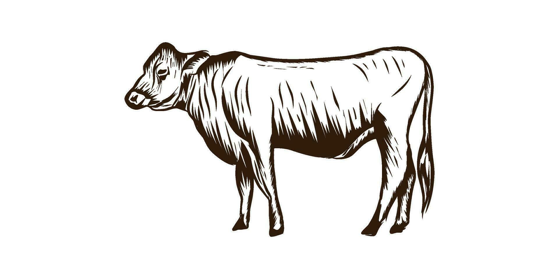 vettore logo illustrazione di mano disegnato mucca
