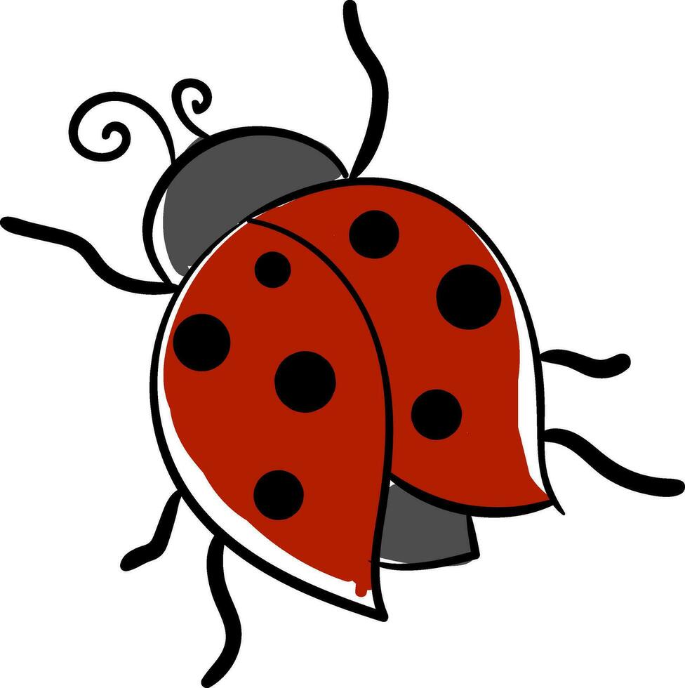 cartone animato carino poco coccinella al di sopra di bianca sfondo, vettore o colore illustrazione