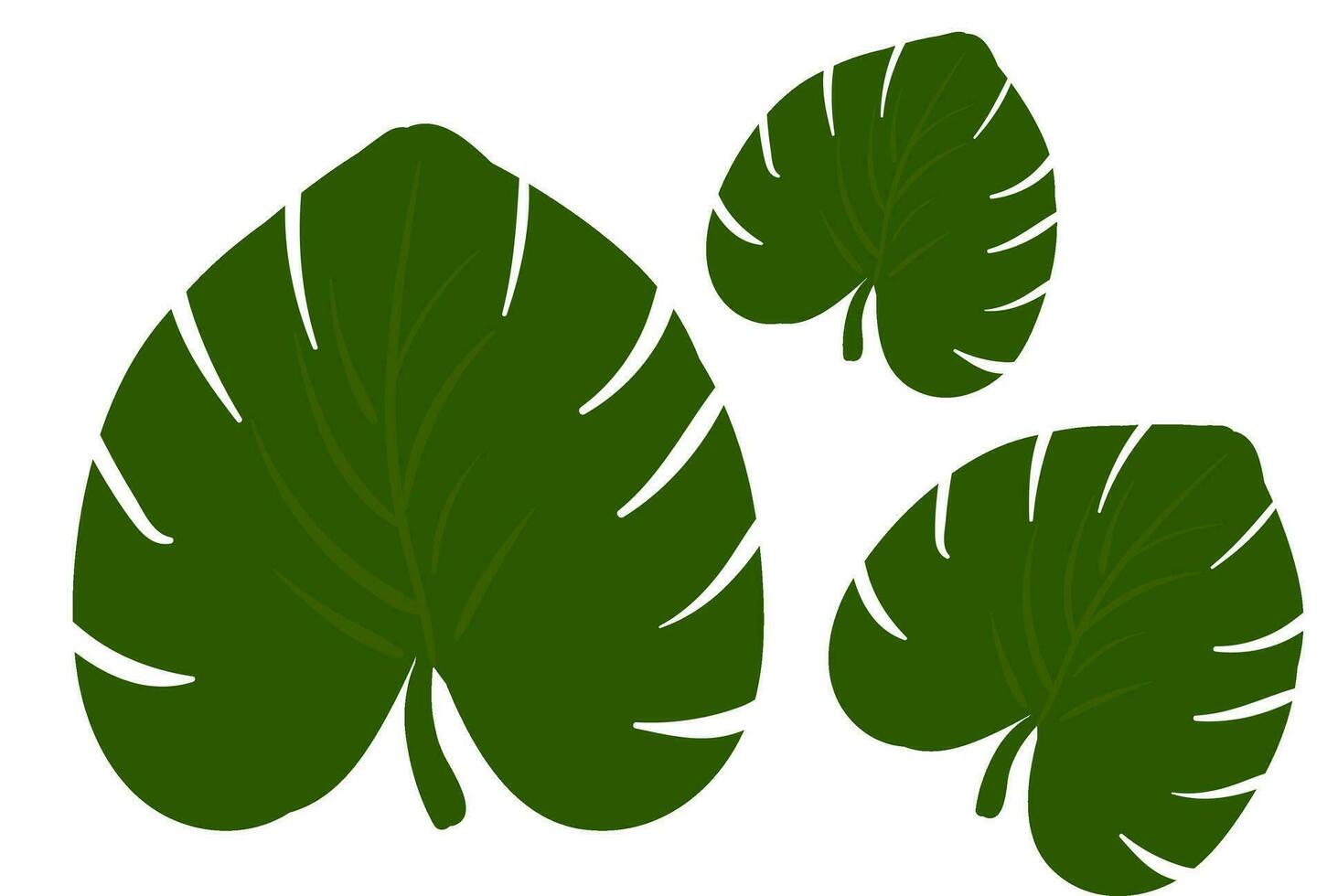 cartone animato tropicale verde lascia tre palma le foglie vettore o colore illustrazione