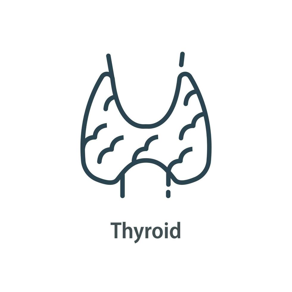 tiroide ghiandole concetto, umano interno organo,vettore linea icona vettore