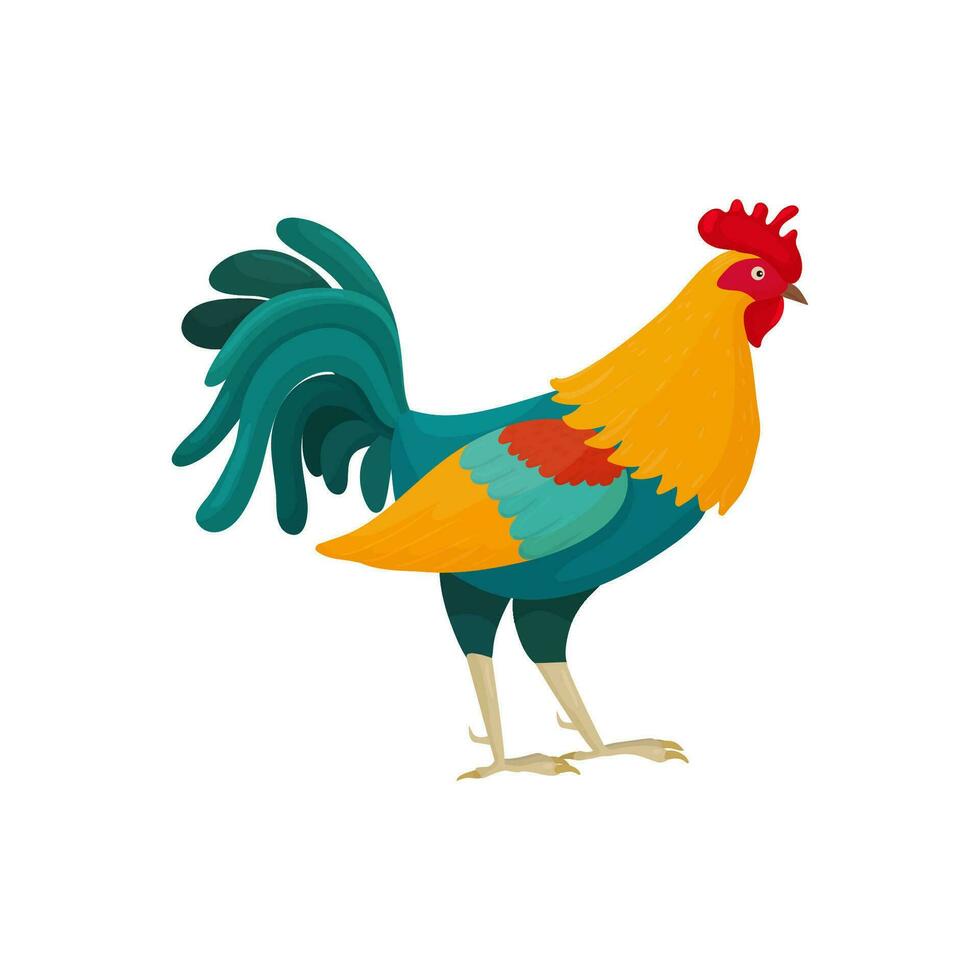 vettore illustrazione di un' Gallo nel cartone animato stile con blu piume. luminosa Gallo come un' simbolo o portafortuna per figli di libri e cartoline con lettere.