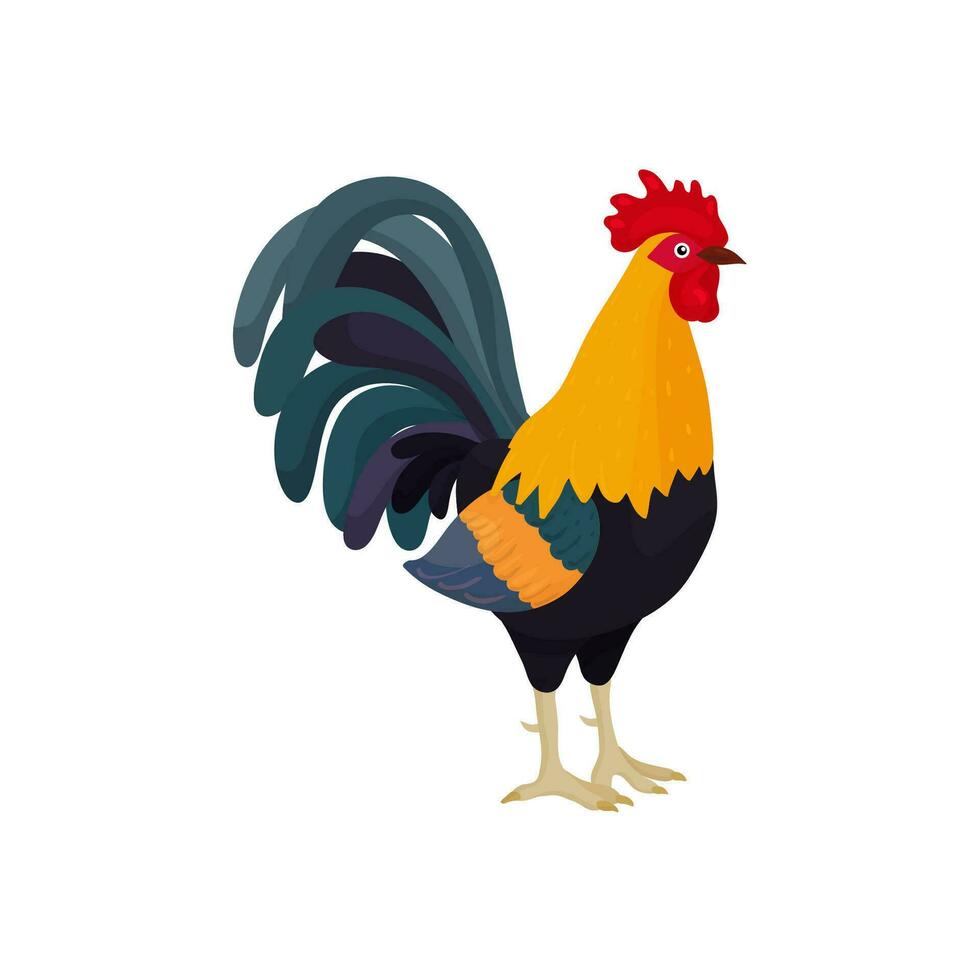 Gallo nel cartone animato stile con blu piume nel il coda. luminosa Gallo come un' simbolo o portafortuna per figli di libri e cartoline con lettere. vettore