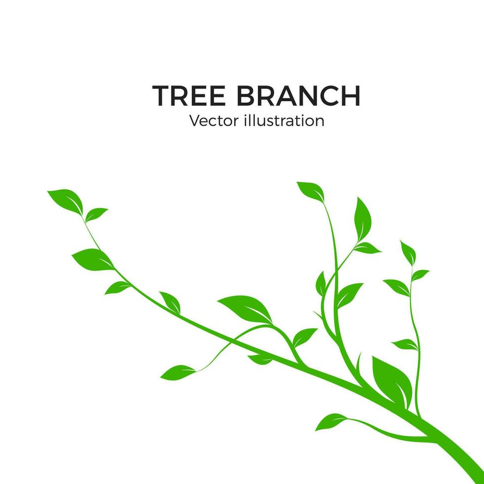 ramo silhouette isolato su bianca sfondo. verde albero ramo con un' lotto di le foglie. vettore illustrazione
