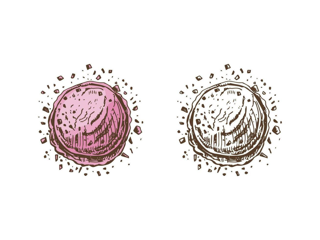 un' disegnato a mano colorato e monocromatico schizzo di ghiaccio crema notizia in anticipo con fiocchi di buio cioccolato. Vintage ▾ illustrazione. elemento per il design di etichette, confezione e cartoline. vettore