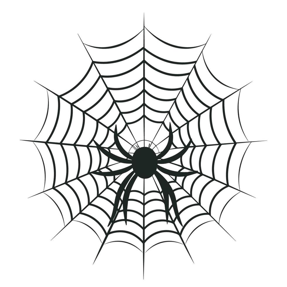un' ragnatela vettore isolato su un' bianca sfondo, un' ragno ragnatela silhouette