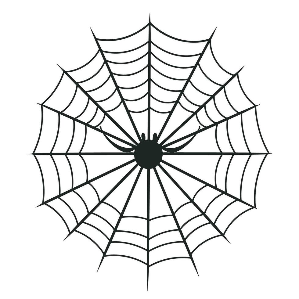 un' ragnatela vettore isolato su un' bianca sfondo, un' ragno ragnatela silhouette