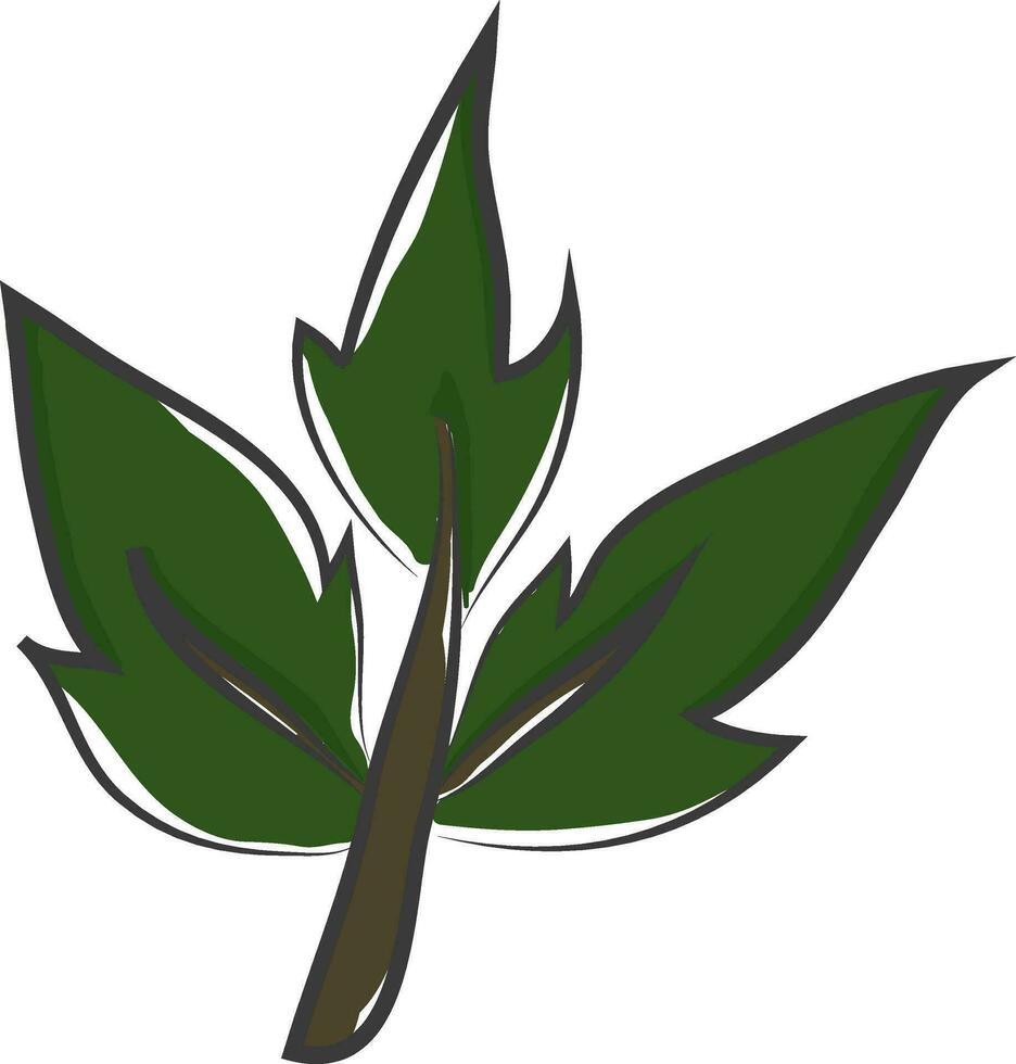 il stelo di un' scala pianta vettore o colore illustrazione