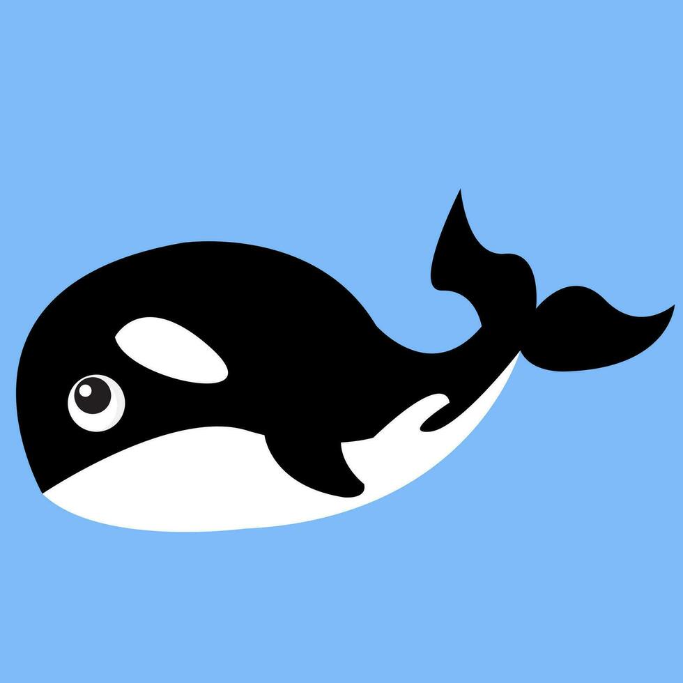 cartone animato di un' uccisore balena mare animale vettore o colore illustrazione