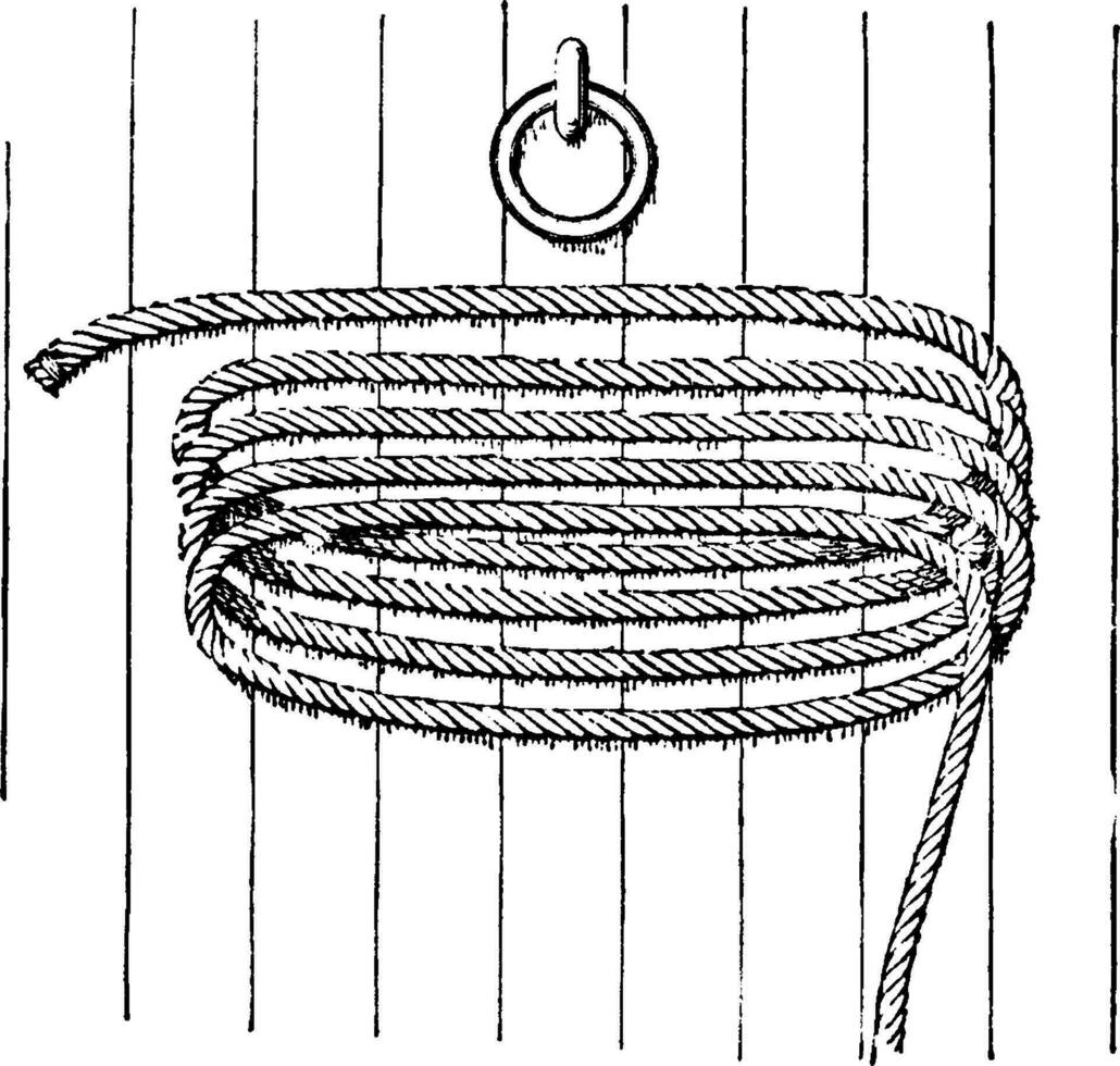 corda arrotolato nel falsi su ponte, Vintage ▾ illustrazione. vettore