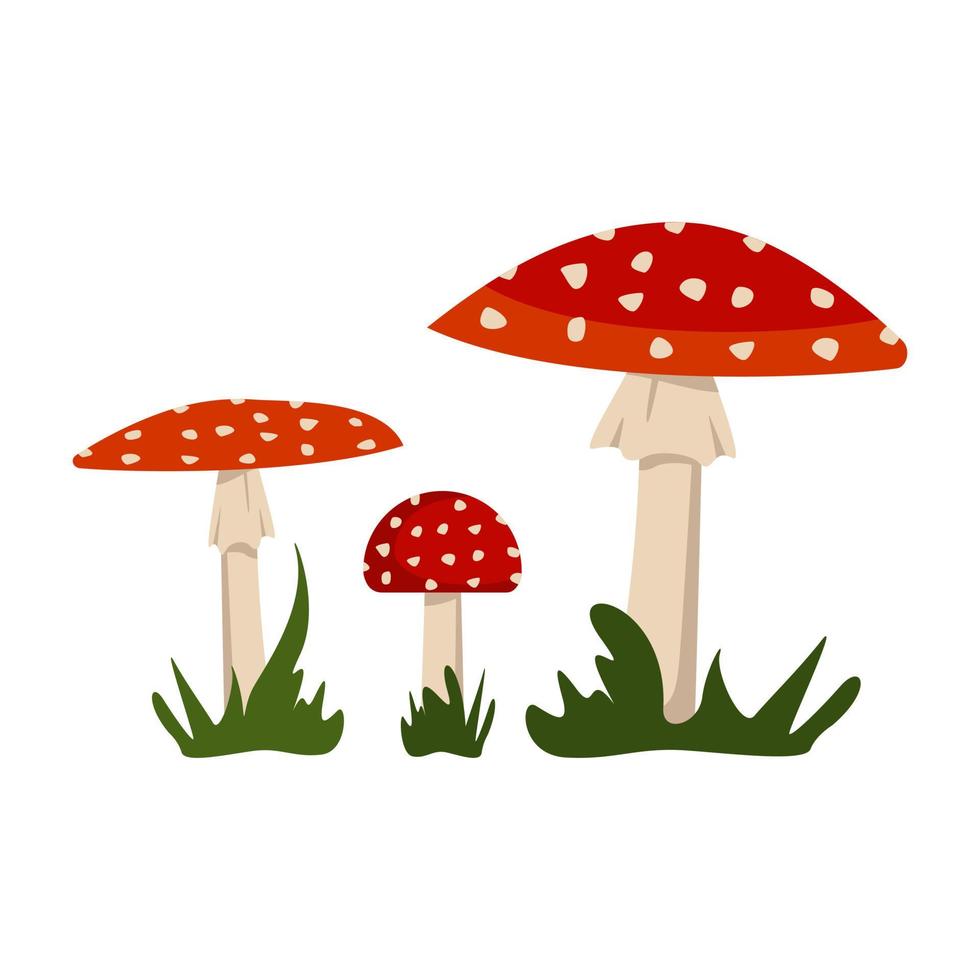 funghi amanita con cappucci rossi e macchie bianche. vettore