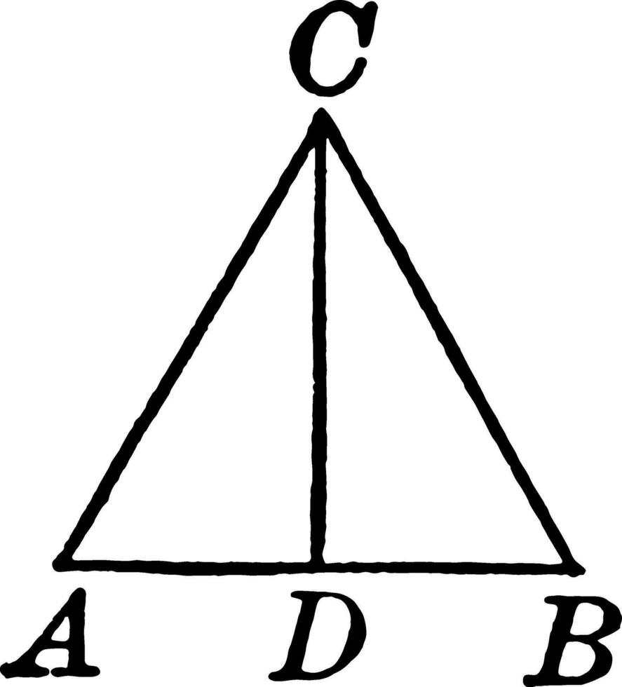 Diviso in due parti verticale angolo di un isoscele triangolo Vintage ▾ illustrazione. vettore