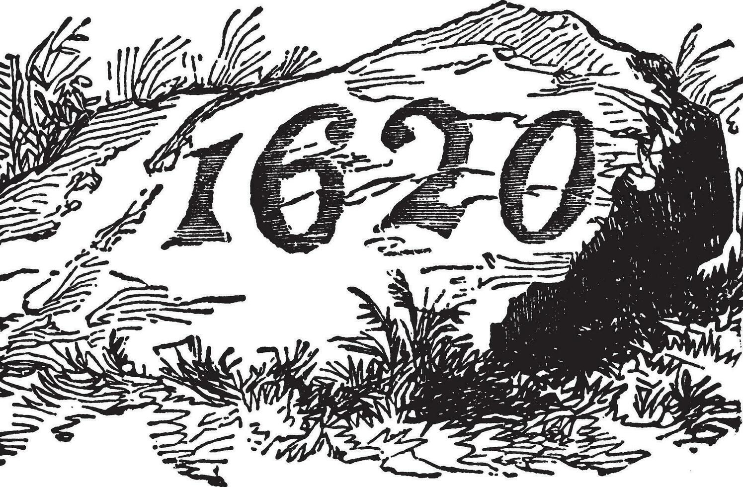 Plymouth rock, vintage illustrazione vettore