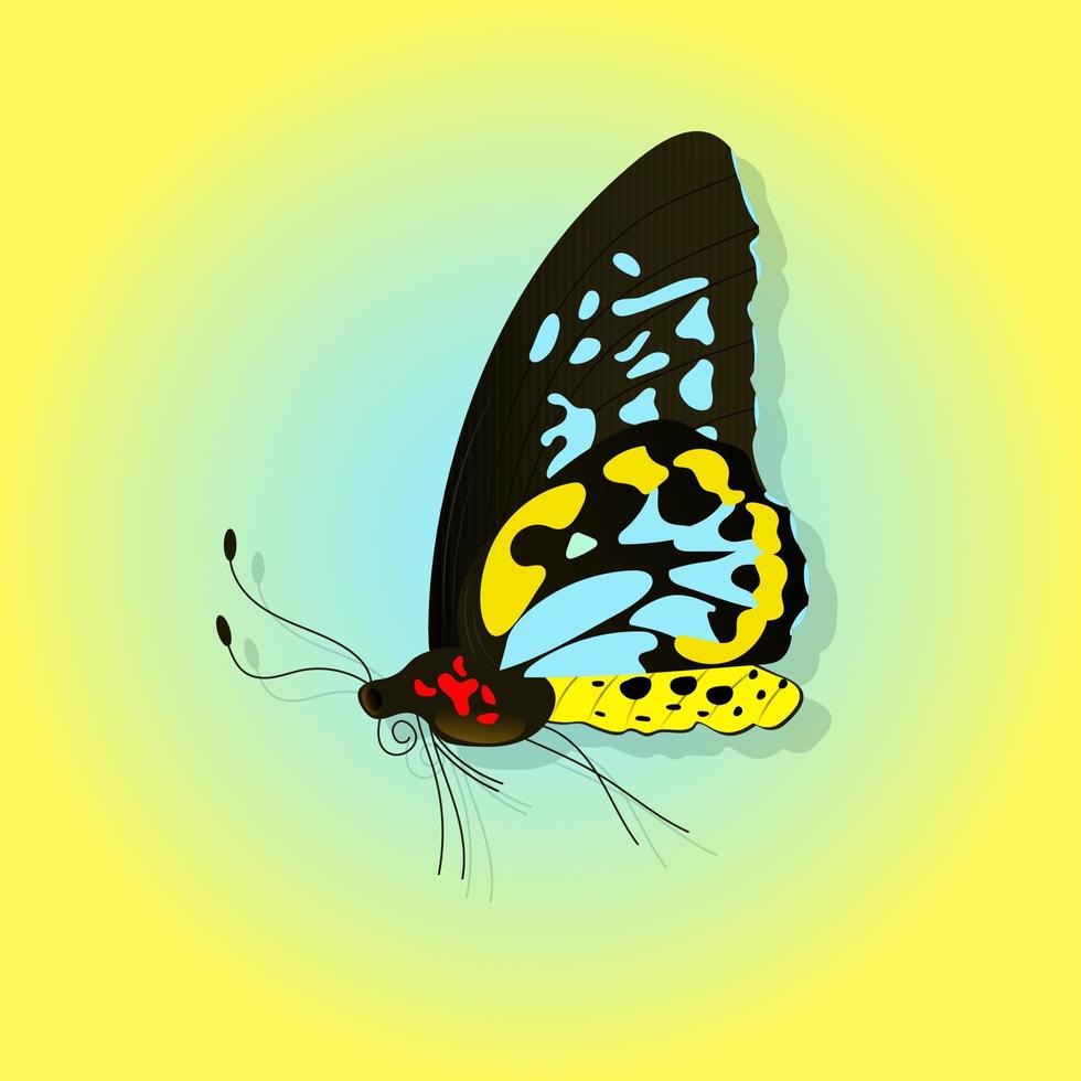 farfalla luminosa su sfondo colorato vettore