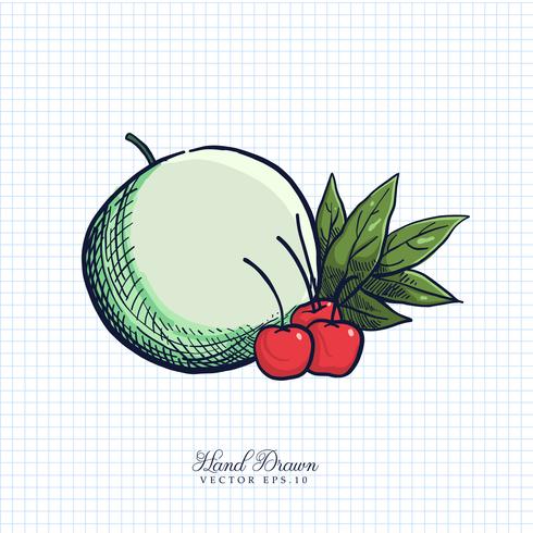 Illustrazione disegnata a mano di frutta e verdura vettore