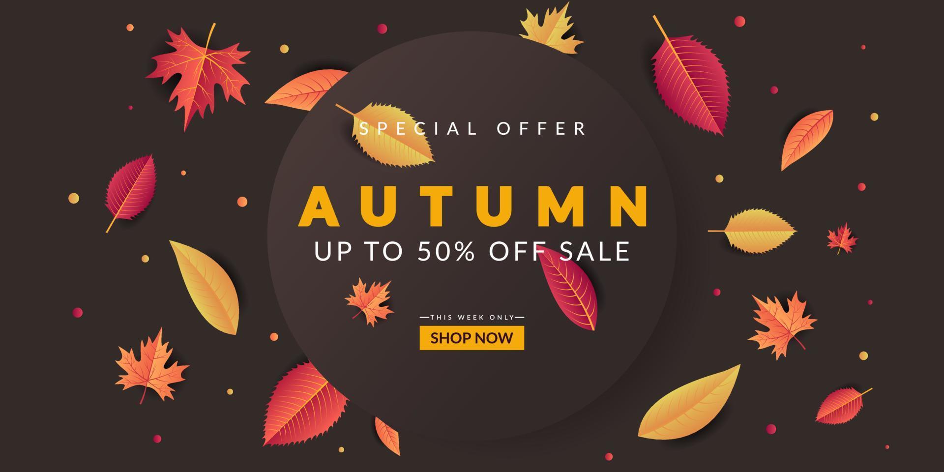 disegno di sfondo vendita autunno con foglie colorate vettore