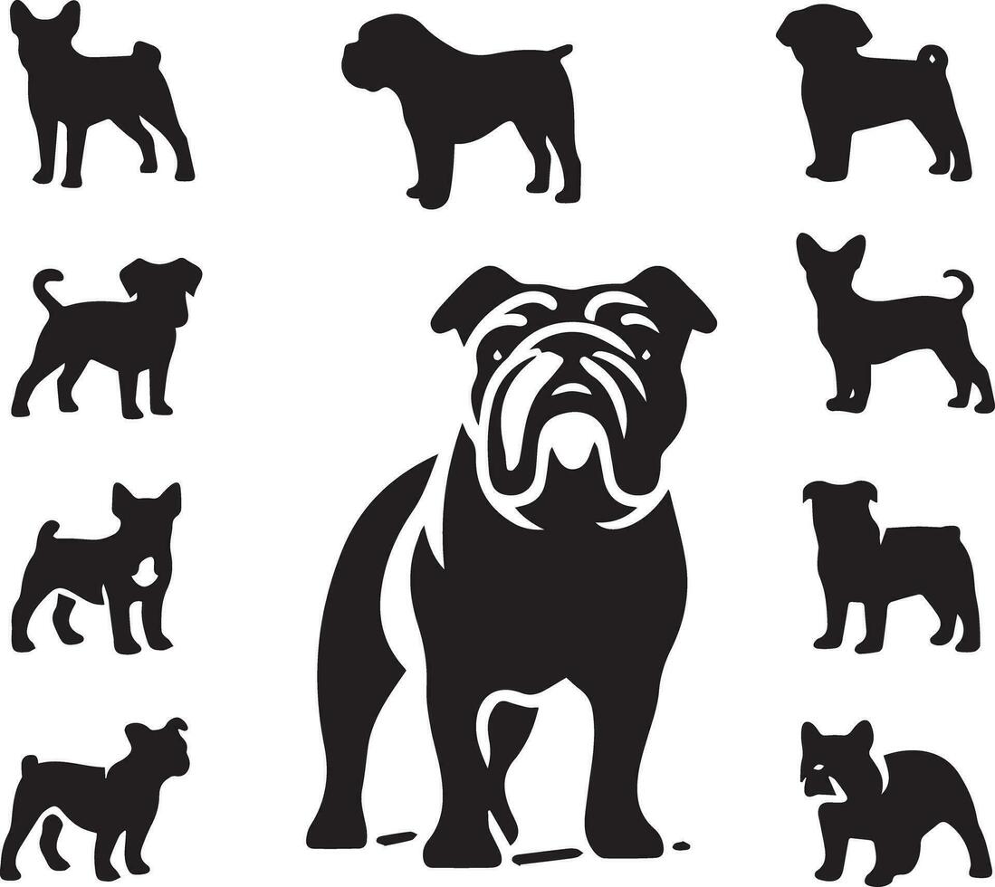 silhouette solido vettore icona impostato di cane, razze, canino, cane, segugio, cucciolo, bastardino, animale domestico, cagnetto