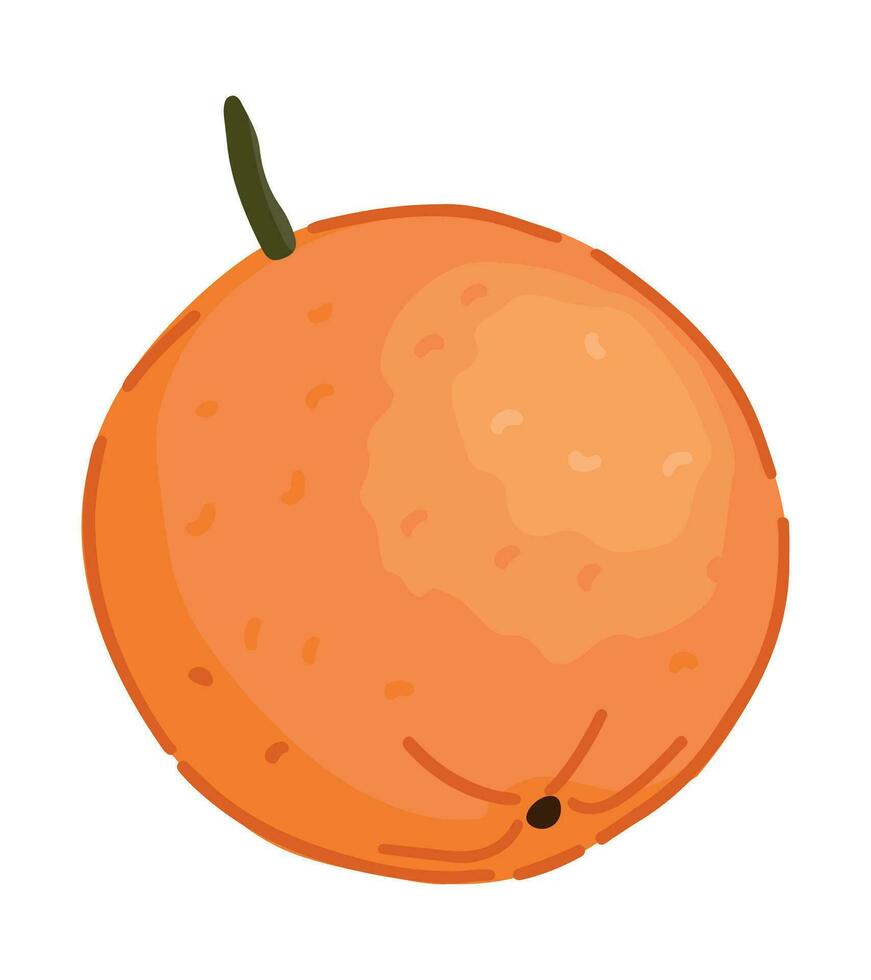 arancia frutta clipart. agrume esotico frutta scarabocchio isolato su bianca. colorato vettore illustrazione nel cartone animato stile.