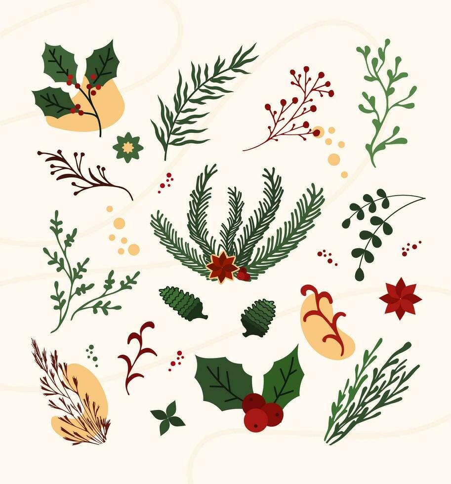 mano disegnare Natale pianta ornamenti foglia, fiore, rami impostare. scarabocchio agrifoglio floreale, ramo elementi vettore