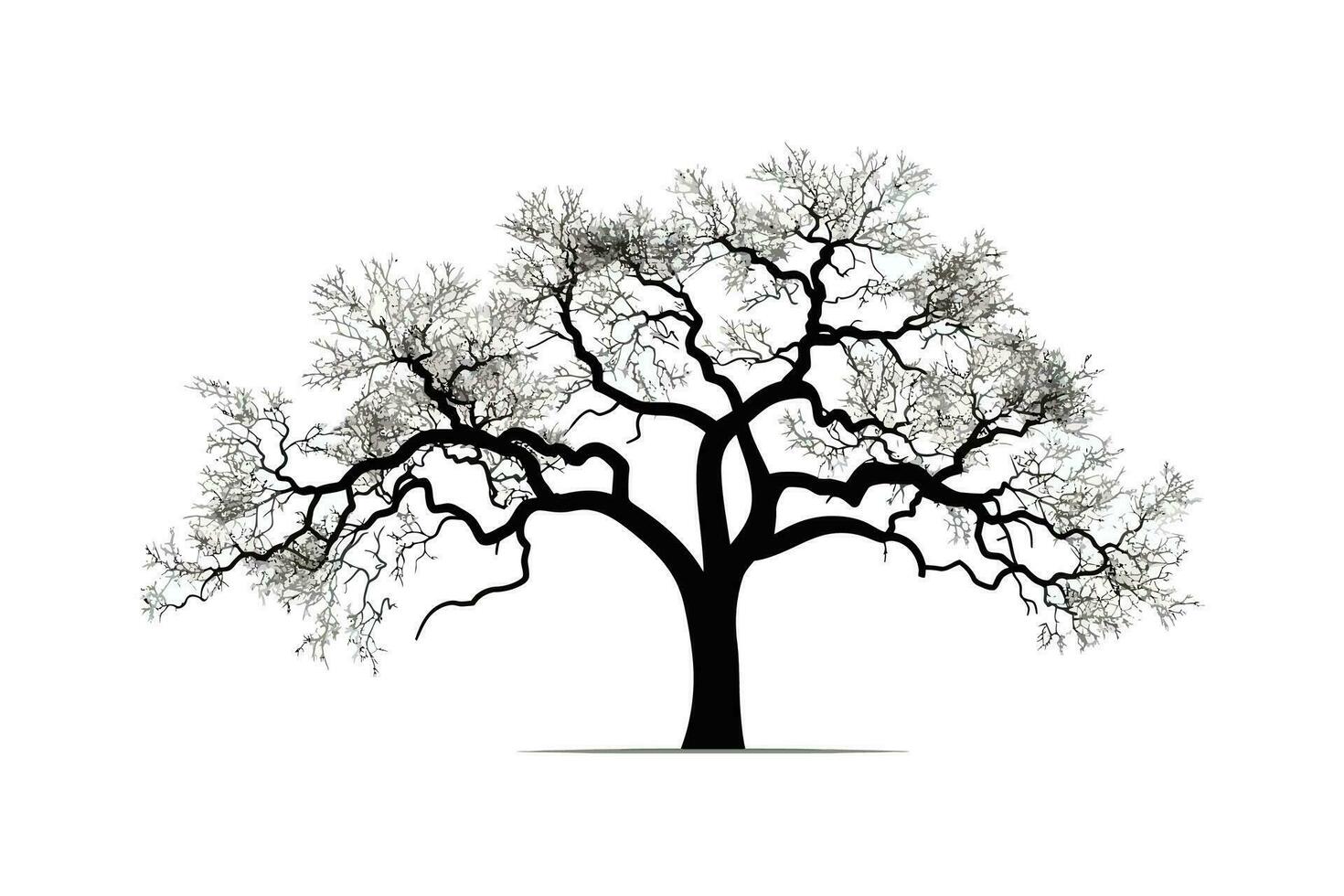 spoglio rami di sessile quercia albero contro cielo silhouette. vettore illustrazione desing.