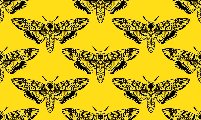 Farfalla testa Morte falena falena seamless pattern vettore