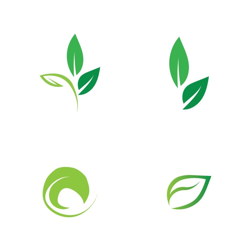 loghi di foglia verde ecologia natura elemento vettoriale