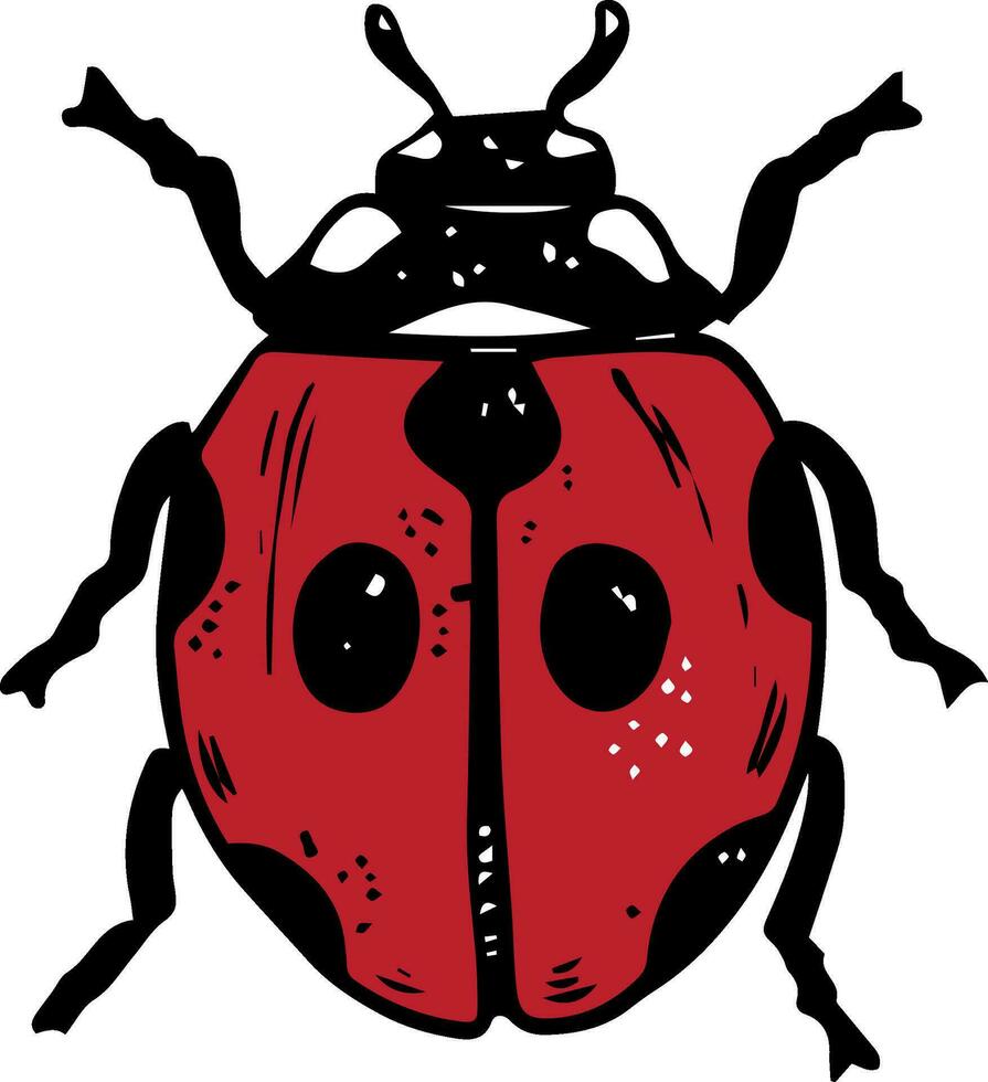 singolo schizzo stile rosso coccinella illustrazione nero Linea artistica isolato su bianca sfondo vettore