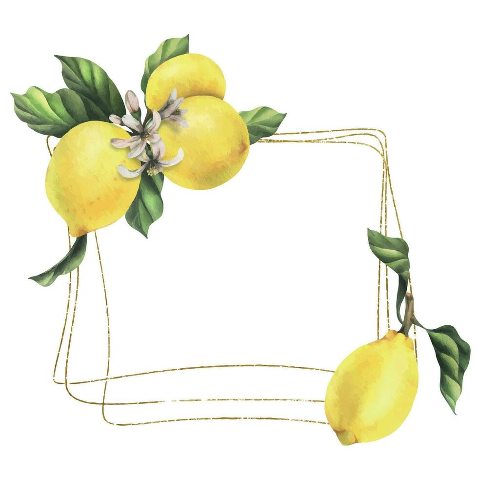 limoni siamo giallo, succoso, maturo con verde foglie, fiore mini cuffie su il rami, totale e fette. acquerello, mano disegnato botanico illustrazione. telaio, modello su un' bianca sfondo vettore eps