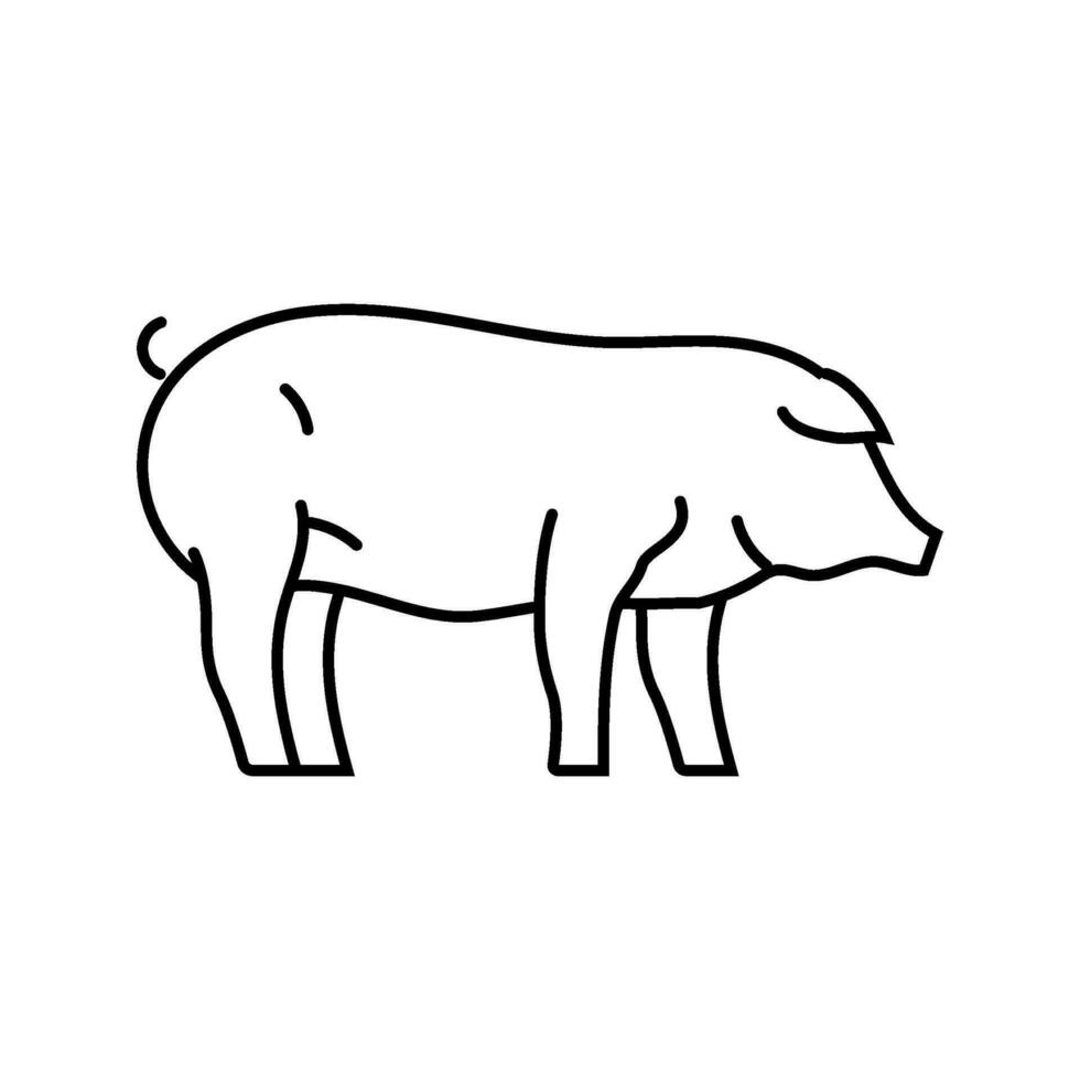 iberico maiale razza linea icona vettore illustrazione