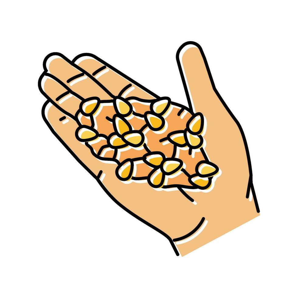 mano Grano grano raccogliere colore icona vettore illustrazione