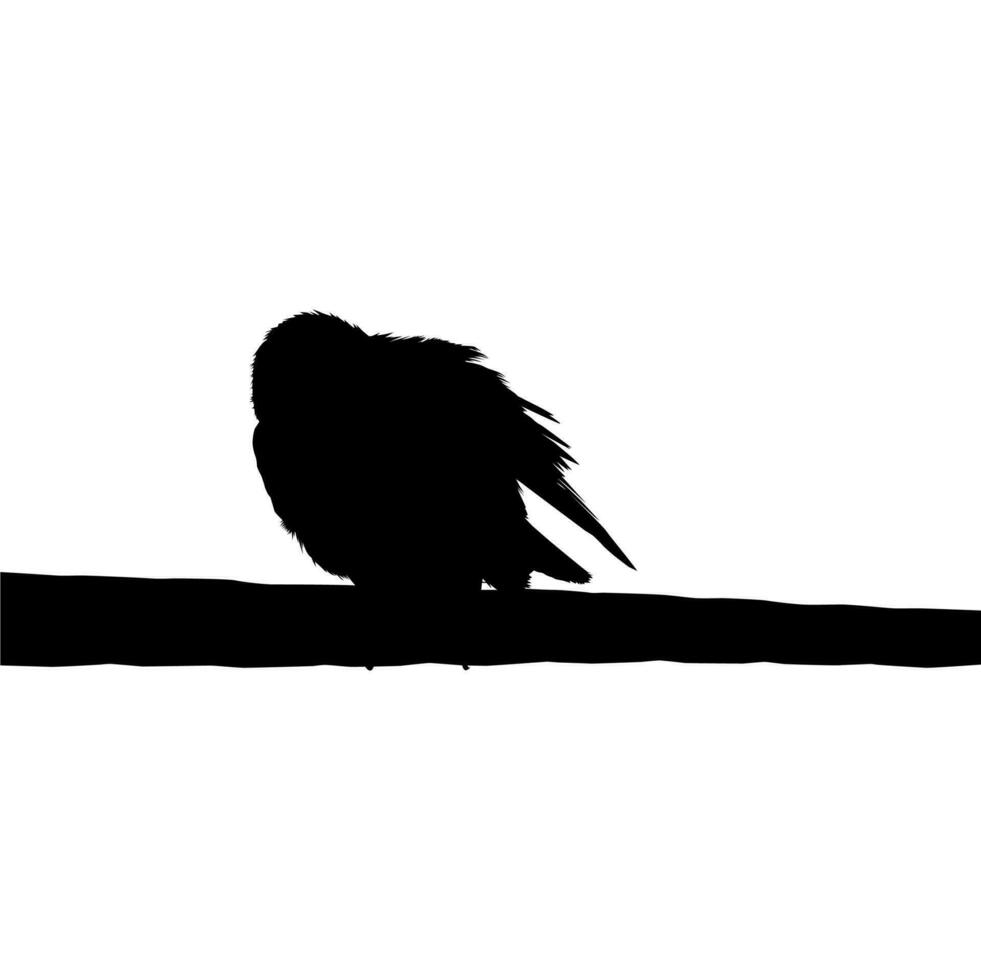 silhouette di il uccello arroccato su il elettrico filo base su mio fotografia. vettore illustrazione