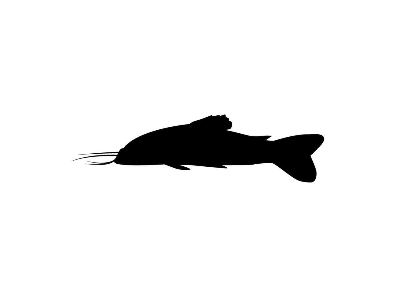 silhouette di il il kwi kwi o oplosterno litorale è un' specie di blindato pesce gatto a partire dal il callichthyidae famiglia. vettore illustrazione