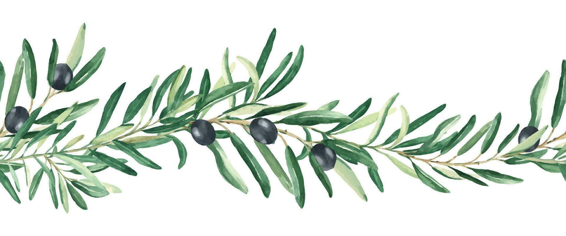 orizzontale oliva ramo acquerello senza soluzione di continuità confine modello. nero olive. mano disegnato botanico illustrazione. può essere Usato per tessuto, cucina tessile, confezione stampe. vettore