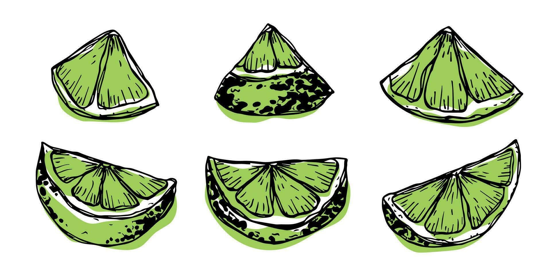 vettore lime clipart. mano disegnato agrume impostare. frutta illustrazione. per Stampa, ragnatela, disegno, arredamento