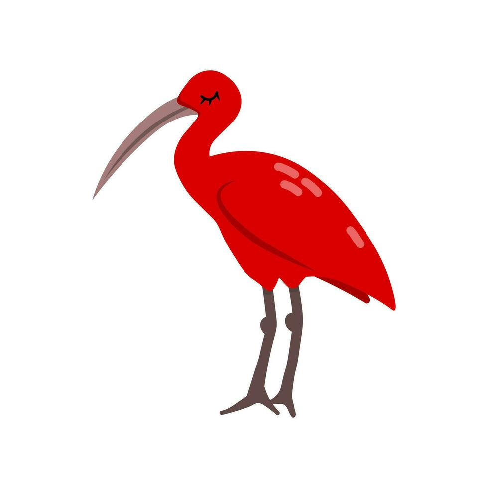 cartone animato ibis uccello animale isolato su bianca. carino carattere, vettore zoo, natura manifesto.