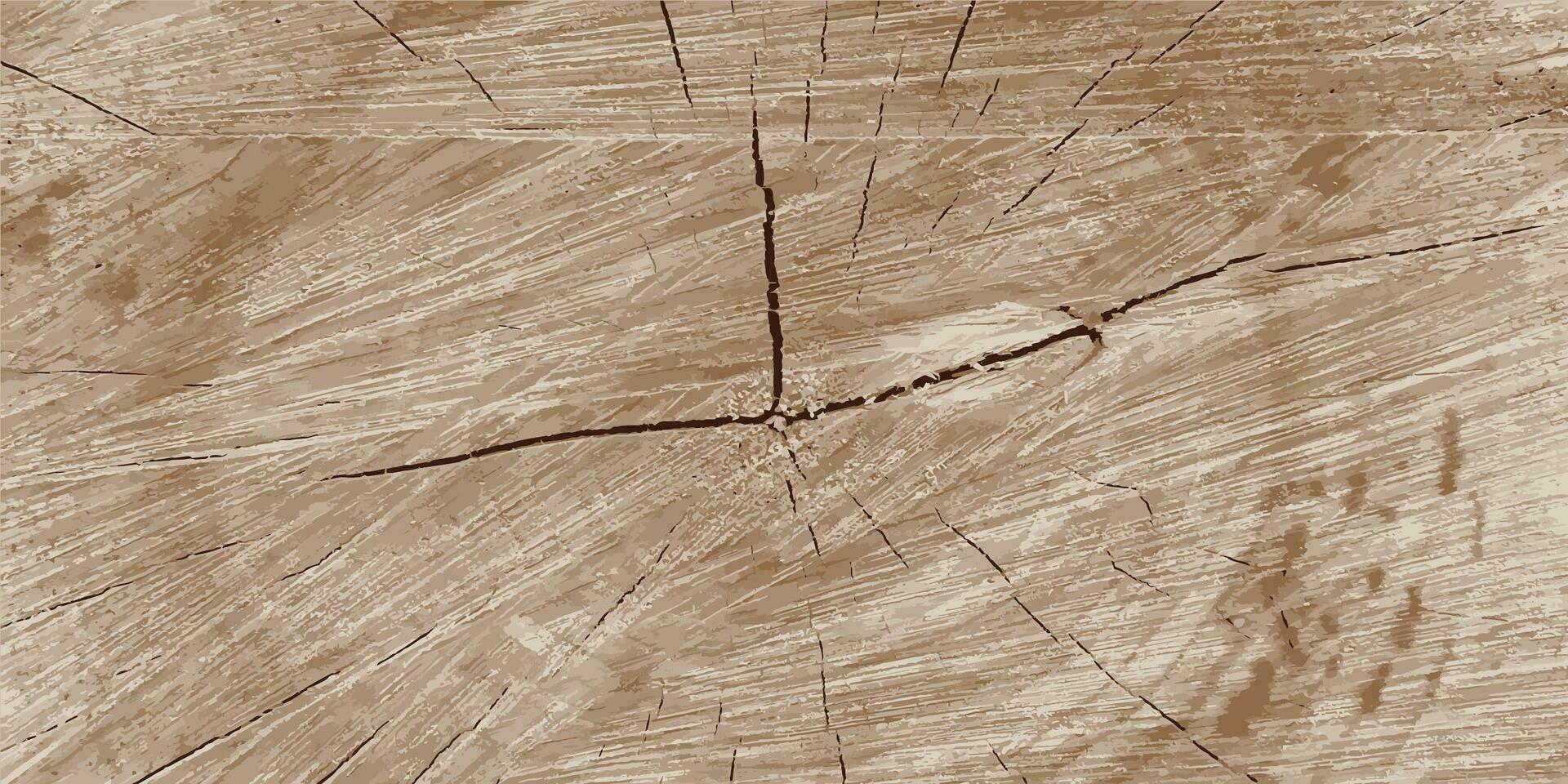 fine tagliare di un' albero. fine grano legna struttura. vettore illustrazione