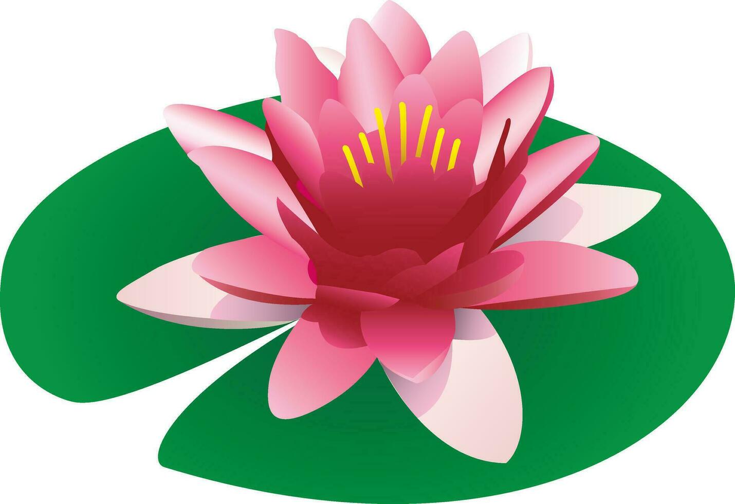 illustrazione di un' galleggiante rosa loto vettore